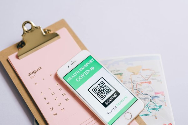 Évasion grandeur nature : activités incontournables à vivre en nouvelle-zélande